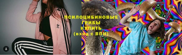 MDMA Богородицк