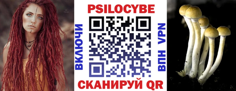 купить наркотики сайты  Александровское  blacksprut как войти  Галлюциногенные грибы Psilocybine cubensis 