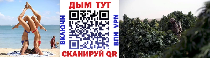 цена   Александровское  Бошки Шишки планчик 